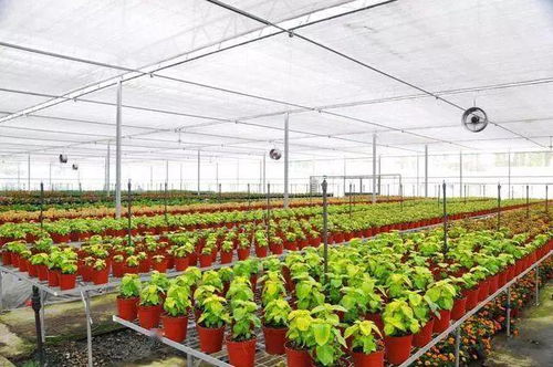 农业科技知识宣讲简报，农业科技知识宣传活动