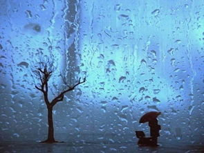 雨的组词，雨的偏旁有哪些字