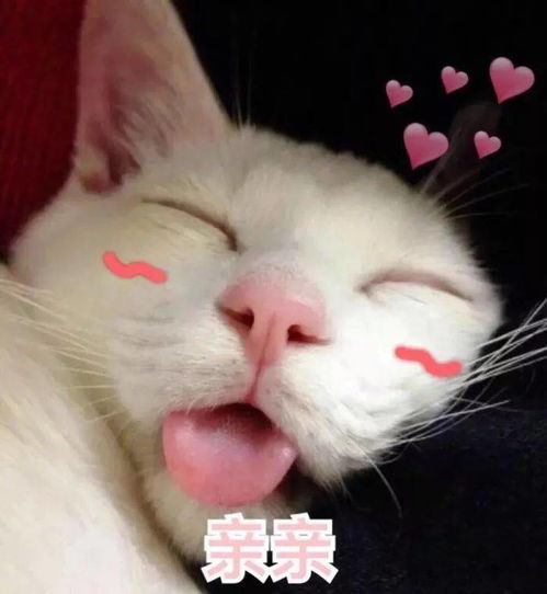 剌怎么读?