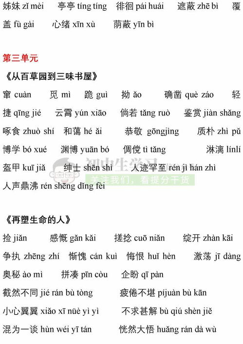 初二语文上册知识点归纳总结