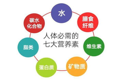 七大营养元素一览表，七大营养素的作用及功能图片