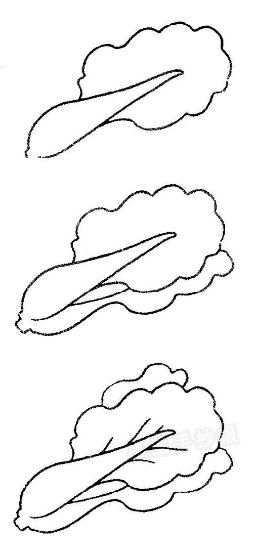 画简笔画:蔬菜