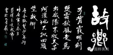 高适写了《塞下曲》这一首诗吗?