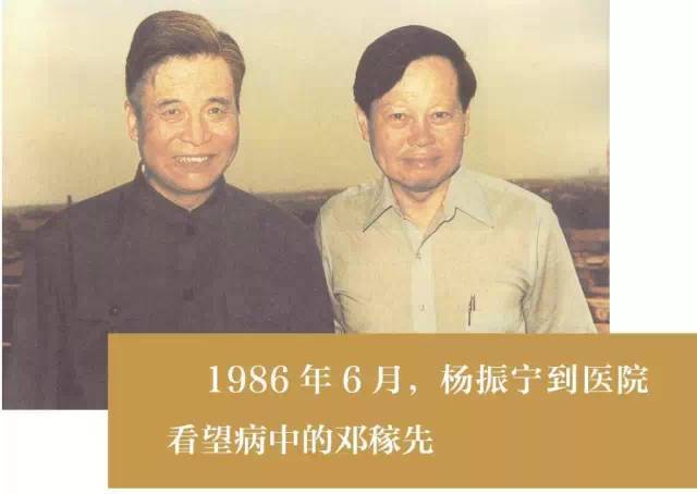 “兽铤亡群”中“铤”是什么意思,只解释这个字