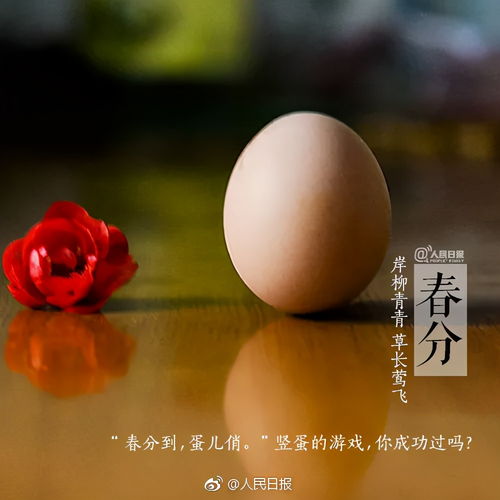 春分竖蛋是生鸡蛋还是熟鸡蛋，春分竖蛋活动教案