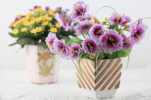 绢花是什么意思，绢花飞八级舞蹈视频