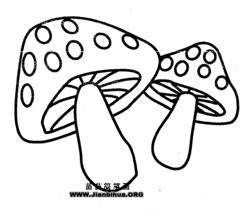蘑菇简笔画图片大全，蘑菇简笔画简单又漂亮