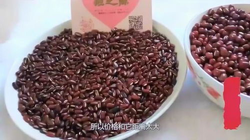 赤豆是什么颜色，赤小豆是什么