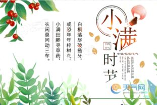二十四节气谚语大全100条，二十四节气谚语歌谣