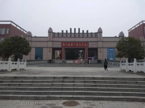 唐河县第一高级中学都是好学生吗