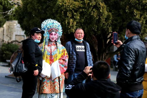 排满革命是什么意思，排毛球吃什么