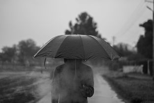 有一首歌的歌词是说分手总在下雨天