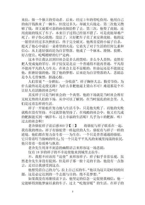 大学生读书心得800字左右