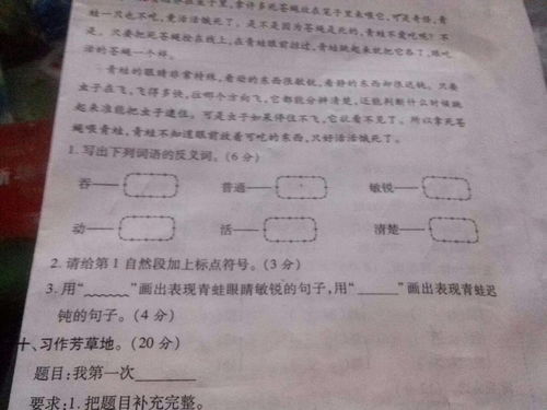 赞美的反义词是