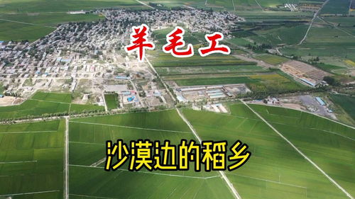 米泉职业技术学校，米泉中学