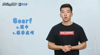scarf的中文意思