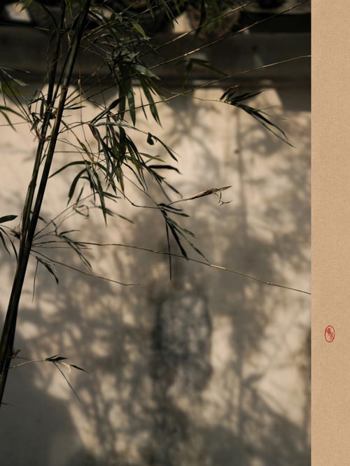 藻荇交横读音，藻荇交横的横怎么读?