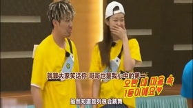 关于cut的短语及意思,简洁点