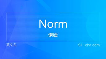norm在排班表什么意思
