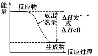 放热的化学反应是什么?