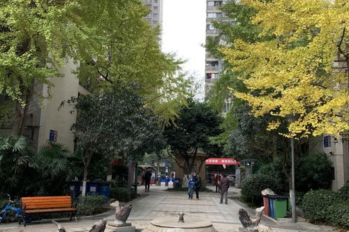 交大绿岭游泳馆，交大绿岭属于哪个街道