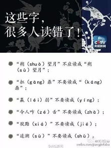 露读lu和lou的区别在哪里，披露怎么念