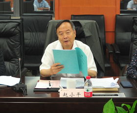 赵小青是什么电视剧，赵小平书法价格