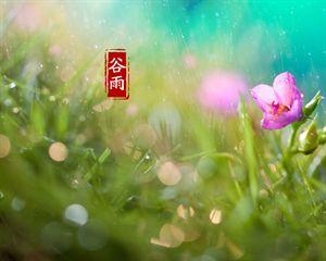 春天有几个节气?
