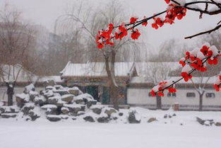 咏雪的意思