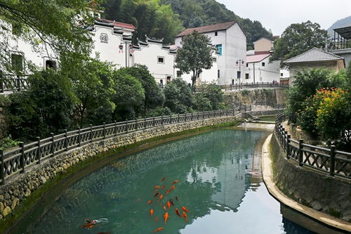 安地巨龙水上乐园门票价格，安地暖的利弊