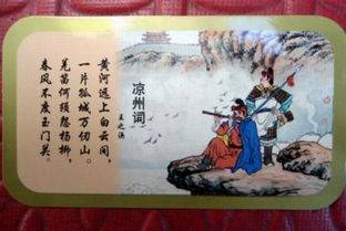 羌笛何须怨杨柳的全诗，羌笛何须怨杨柳小说