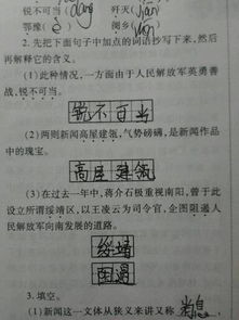 柏的意思及寓意男孩，深度解析的意思