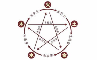 人分阴阳天分五行的意思，住总集团住五行的意思