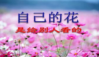《自己的花让别人看的》诗词