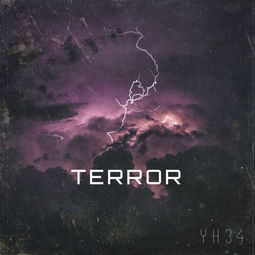terror这个单词什么意思?