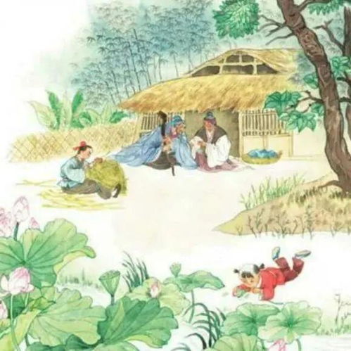 醉里吴音相媚好停顿划分，醉里吴音相媚好白发谁家翁媪全诗