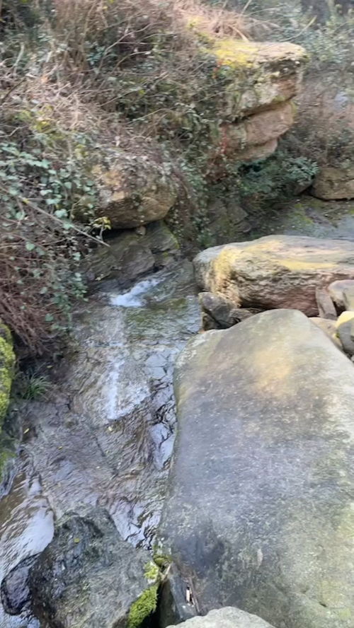 “高山流水觅知音”全诗是什么?