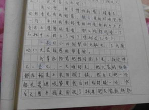 过年周记300字大学，过年周记300字高中