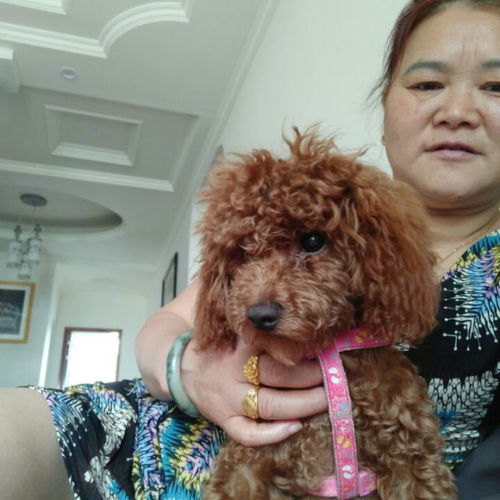 什么环境唱什么歌基督教原唱歌谱