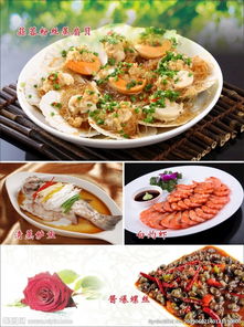 美食天下的介绍