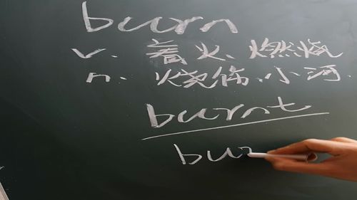 burn down是什么意思，burner是什么意思