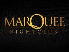 marquee标签属性是什么?
