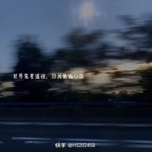不懈是什么意思啊