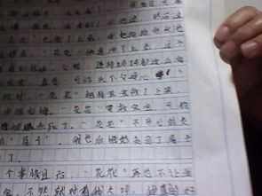 描写感动作文400字7篇
