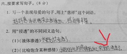 前方造句简单，前方造句一年级简单一句话