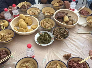忆苦饭是什么电视剧
