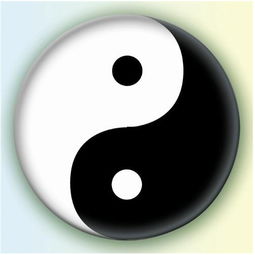 太极图是什么意思?