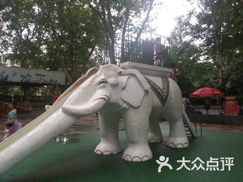 兴庆公园大象滑梯怎么找