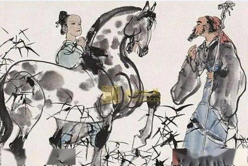 学不躐等啥意思