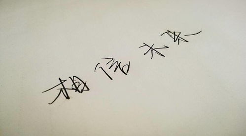 《我相信》诗歌文字，《我相信》诗歌朗诵词